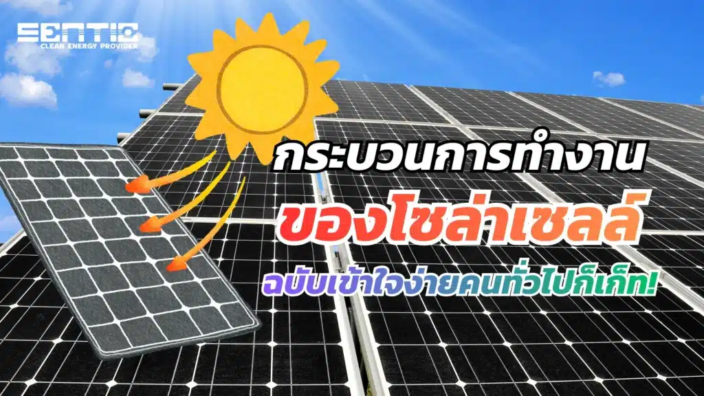 กระบวนการทำงานของโซล่าเซลล์ ฉบับเข้าใจง่ายคนทั่วไปก็เก็ท!