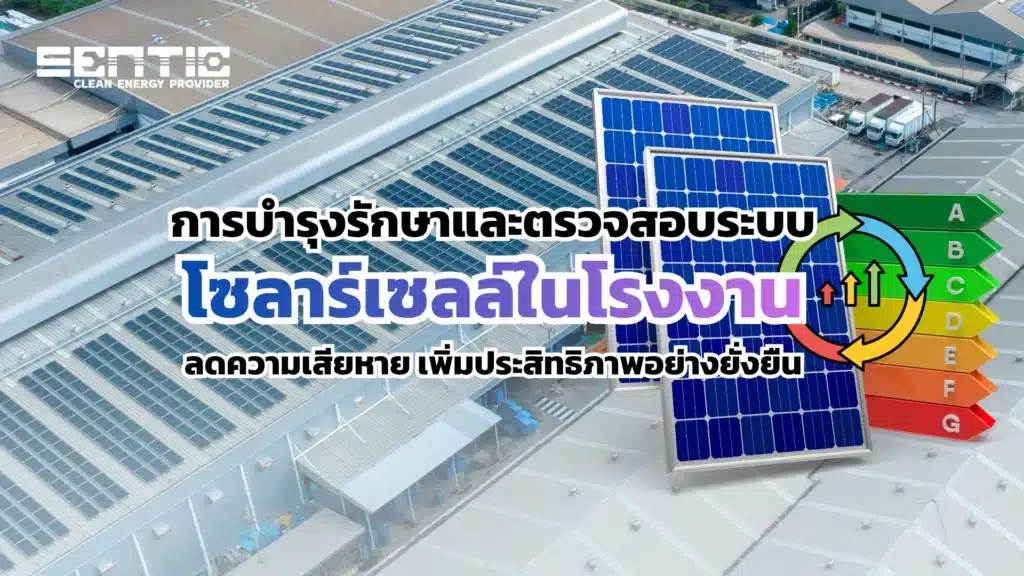 การบำรุงรักษาและตรวจสอบระบบโซลาร์เซลล์ในโรงงาน ลดความเสียหาย เพิ่มประสิทธิภาพอย่างยั่งยืน