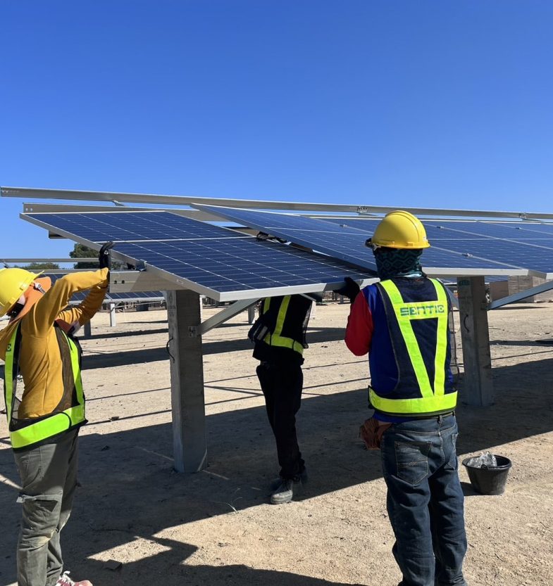 S__6291689_0 S__6291689_0